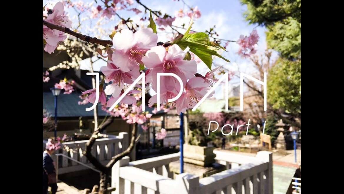 TOKYO holiday | GoPro Hero 3 part 1 - Matt Elisa