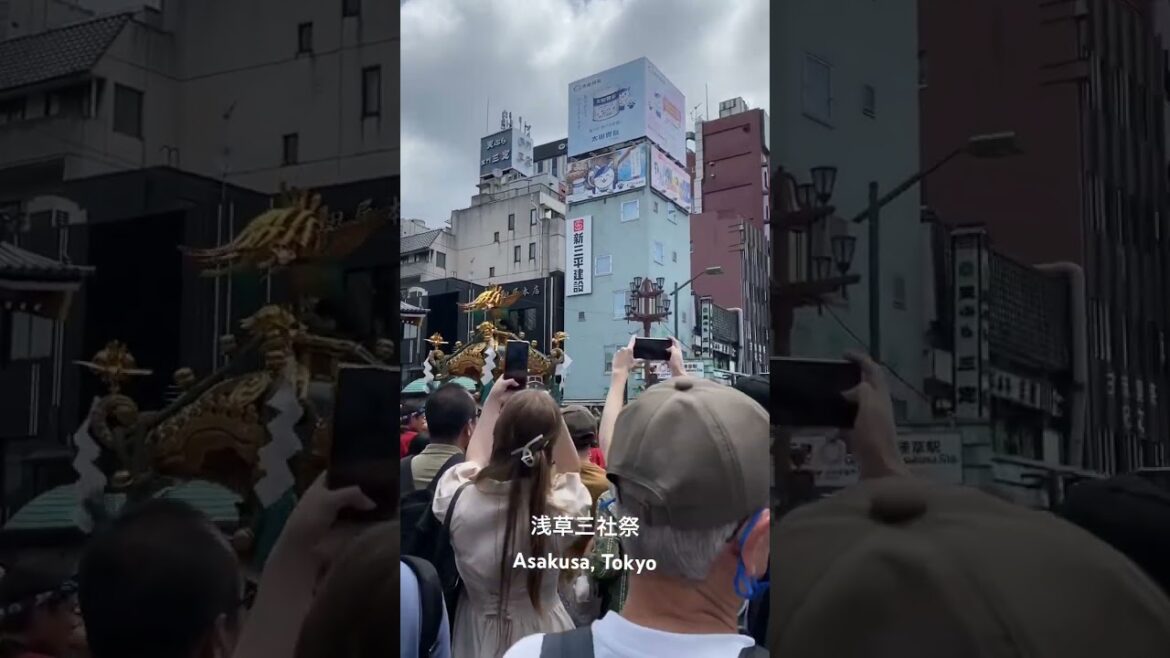 Lễ hội Asakusa Sanja Matsuri ngày 21/5/2023 #tokyo #nhatban #shorts