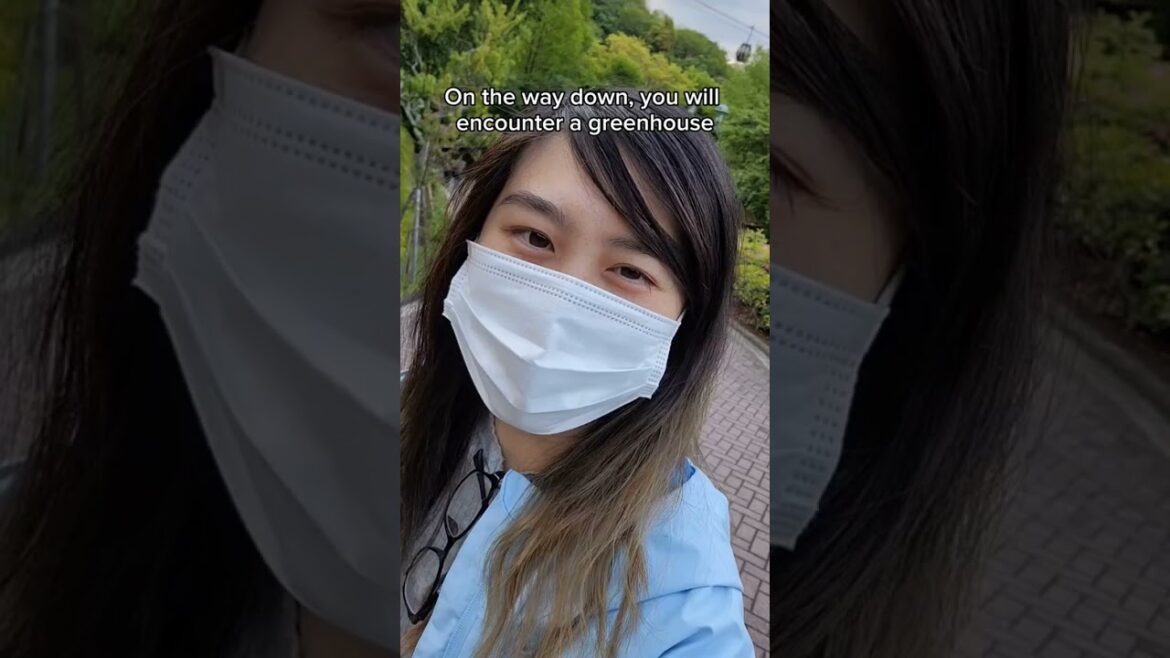 Hidden Gem in Kobe, Japan | Nunobiki Herb Garden #lifeinjapan #travel