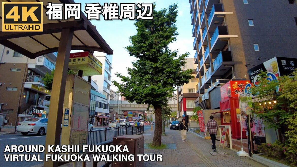 福岡香椎周辺を歩く4k virtual Fukuoka walking tour around Kashii East ward Fukuoka City 福岡香椎周辺を歩く4k virtual Fukuoka walking tour around Kashii East ward Fukuoka City