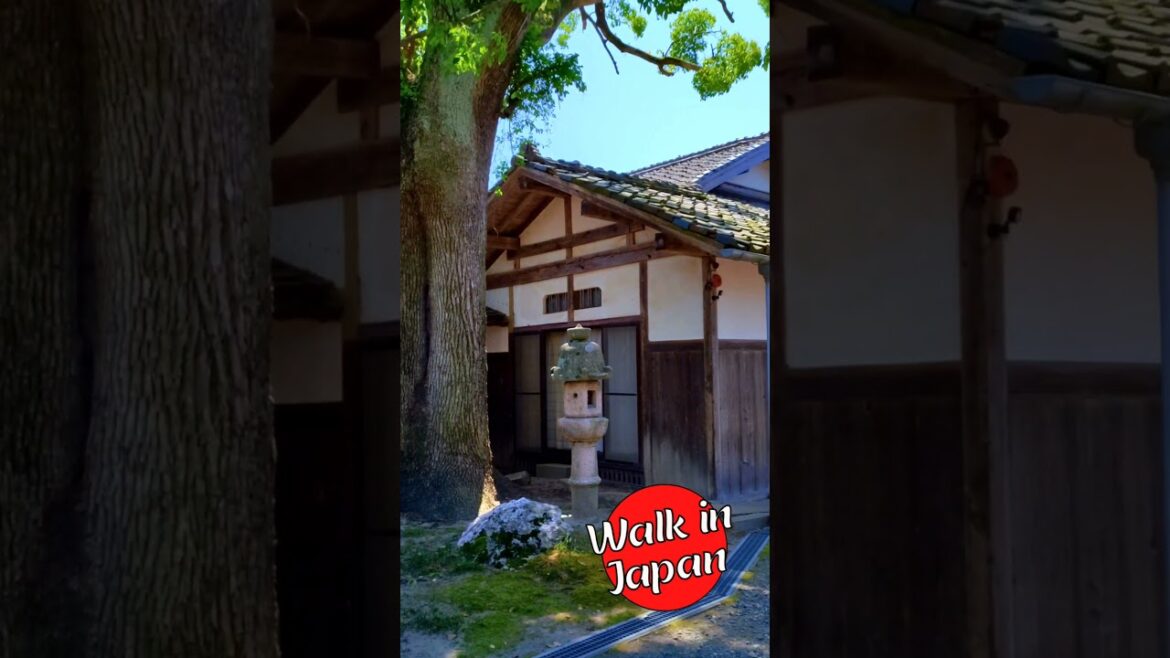 Old Japanese Estate House #shorts