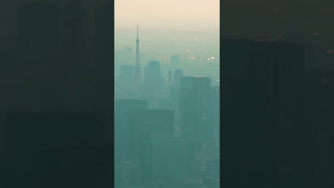 Most incredible Tokyo view at the Sky Tree Skytree | Amazing Japan Travel Adventure Documentary Most incredible Tokyo view at the Sky Tree Skytree | Amazing Japan Travel Adventure Documentary