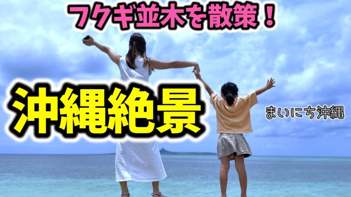 【沖縄絶景】フクギ並木を散策!南の風に吹かれる癒しの場所!沖縄やんばるで暮らすしおりファミリー南国日常Vlog okinawa 【沖縄絶景】フクギ並木を散策!南の風に吹かれる癒しの場所!沖縄やんばるで暮らすしおりファミリー南国日常Vlog okinawa