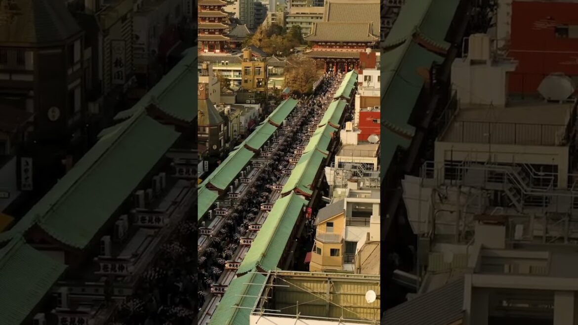 Top 5 places to visit in Asakusa! #japan #japantravel #tokyo #temple #ytshorts #shorts #fyp #fypシ Top 5 places to visit in Asakusa! #japan #japantravel #tokyo #temple #ytshorts #shorts #fyp #fypシ