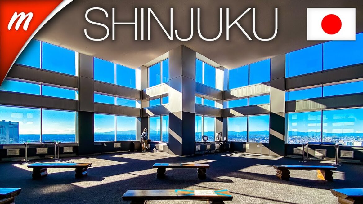 Free Observation Deck in Shinjuku - Tokyo Metropolitan Government Building | TOKYO WALKING TOURS