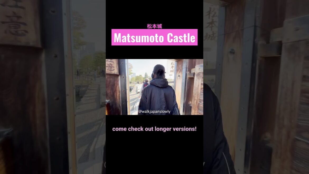 【Matsumoto castle】spring2023  #short  #sakura #castle #japan #nagano #japanesefood　 #nationaltresure
