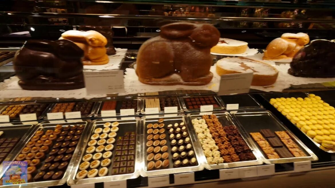 🔴 チューリッヒ空港 (ZRH) 🔴 新しい 🔴 免税 🔴 フード 🔴 航空会社 🔴 チェックイン 🔴 チューリッヒ空港 (ZRH) 🔴 新しい 🔴 免税 🔴 フード 🔴 航空会社 🔴 チェックイン