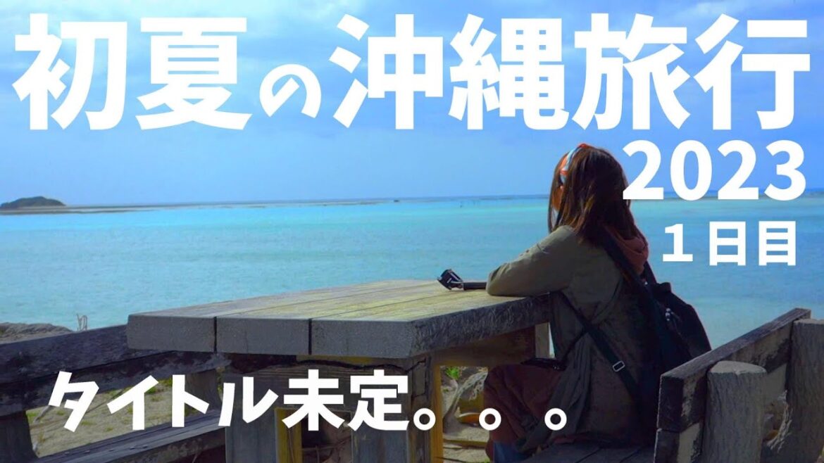 2023年 初夏の沖縄旅行 2泊3日 1日目 OKINAWA TRIP2023 sony RX100 GoPro HERO7 茨城空港発 2023年 初夏の沖縄旅行 2泊3日 1日目 OKINAWA TRIP2023 sony RX100 GoPro HERO7 茨城空港発