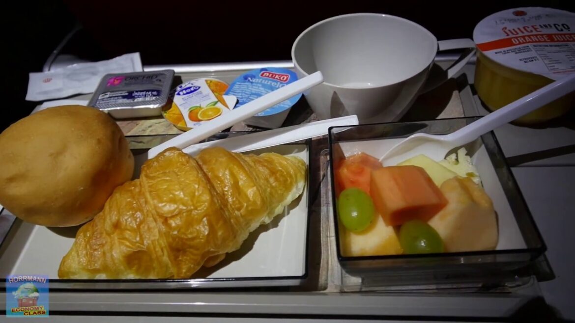 RJ ROYAL JORDANIAN "الملكية الأردنية" ★ NEW ★ Economy Class ★ My Experienced Flight ★ Oneworld