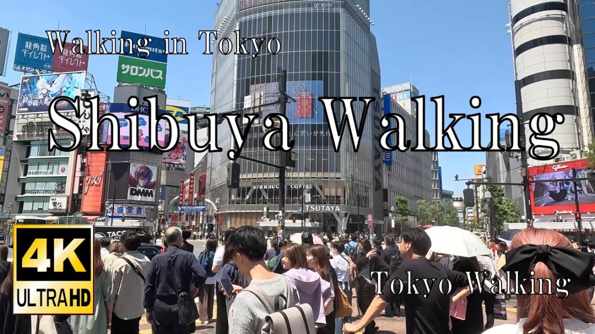 4K HDR//Walking in Tokyo Around Shibuya Station/51minutes