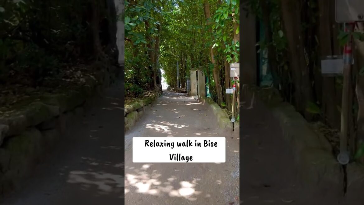 Scenic walk in Okinawa🇯🇵 #shorts