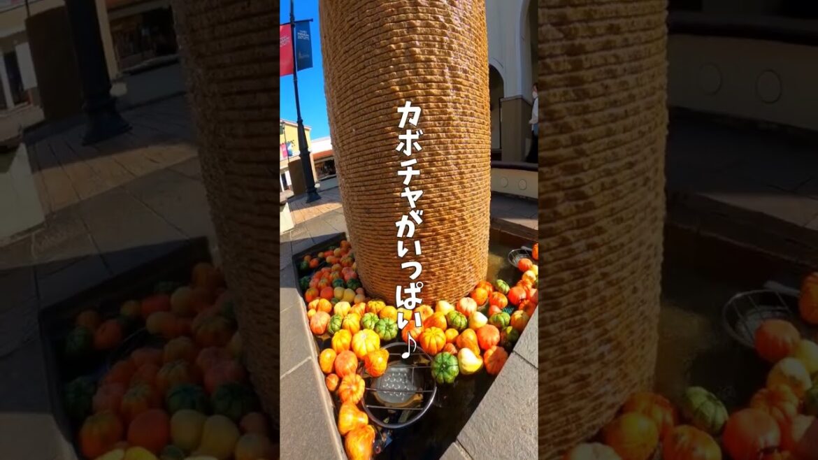 【買い物】いろんなお店が揃ってる★鳥栖プレミアムアウトレットで最高のショッピング♪佐賀観光★体験/ブランド/鳥栖市/佐賀県 #shorts 【買い物】いろんなお店が揃ってる★鳥栖プレミアムアウトレットで最高のショッピング♪佐賀観光★体験/ブランド/鳥栖市/佐賀県 #shorts