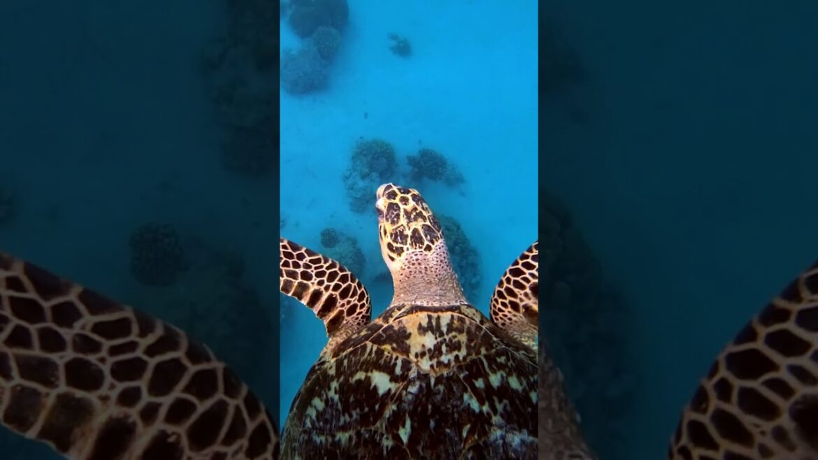 Best travel destinations #travel #Asia Best travel destinations #travel #Asia