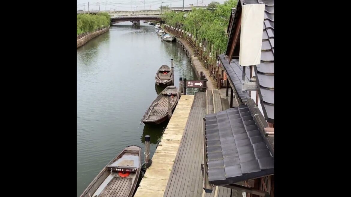 Children’s Day #japan #travel #flowers #ibaraki