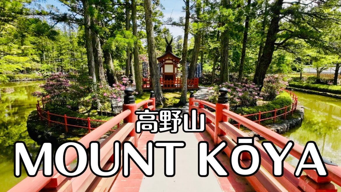 【4K】Discovering Koyasan: A Walk in Japan's World Heritage | Mount Koya | Wakayama Sightseeing Spot