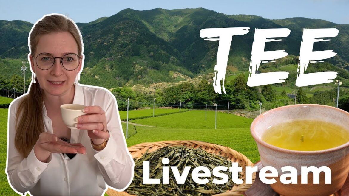 Tee in Japan [Livestream]