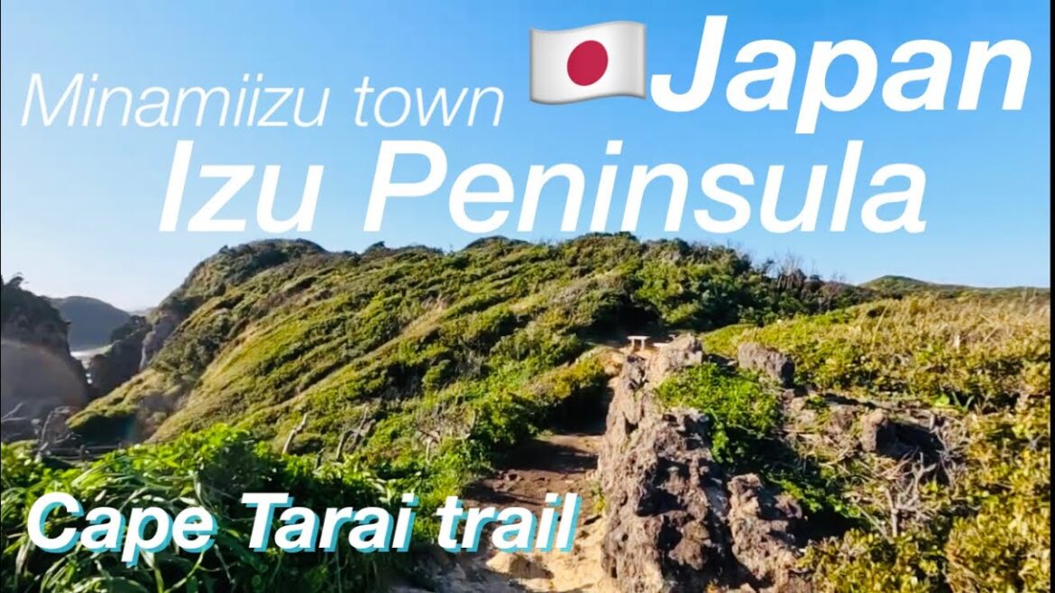🇯🇵Enjoy Japan! Travel and love more! /45Walking in Izu Peninsula /Cape Tarai Trail  /Minamiizu Town