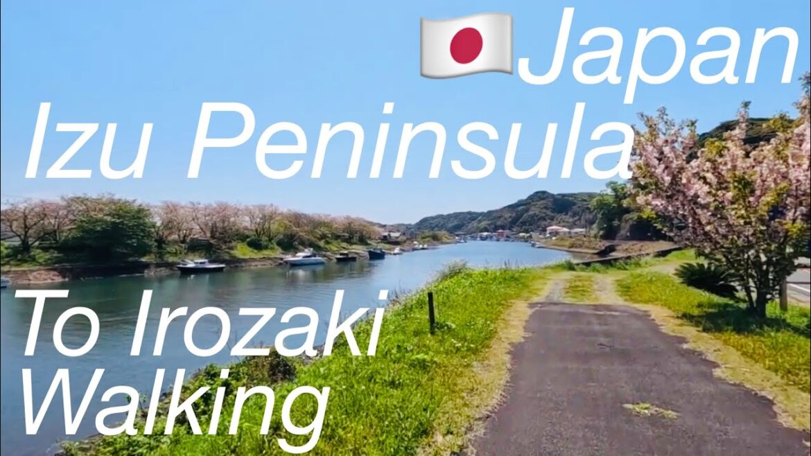 🇯🇵Enjoy Japan!Travel and love more/47Walking around Izu Peninsula/From YumigahamaBridge to Irozaki