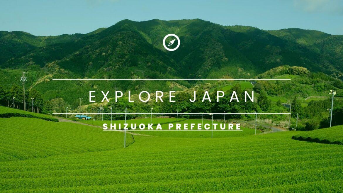 Japan Travel Vlog 1&2 | Chubu International Airport | Shizuoka Prefecture | Thrift Store: 2nd Street