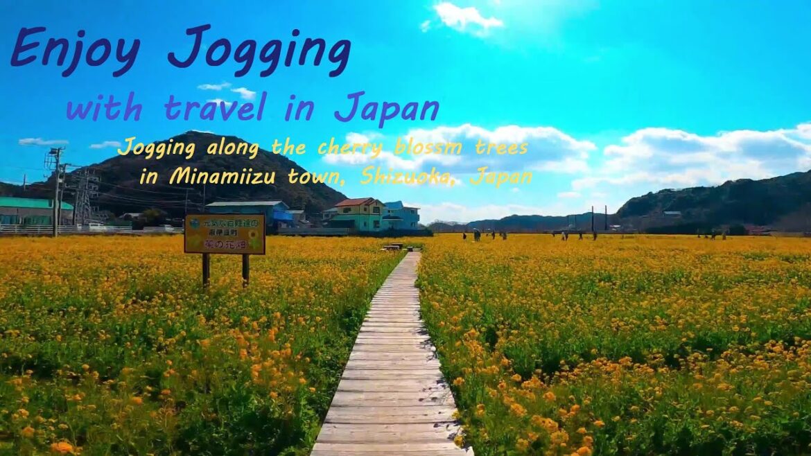 Jogging along the cherry blossom trees in Minamiizu Town, Shizuok, Japan.