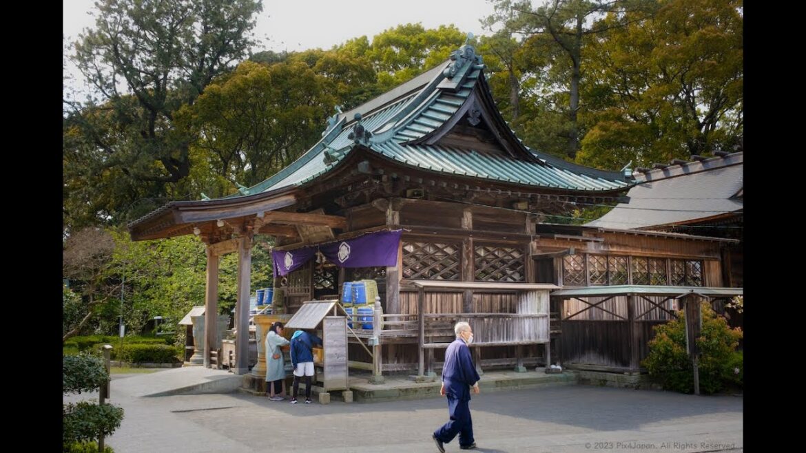 Part III: Visit to Miho Shrine on Miho Peninsula in Shizuoka Prefecture, Japan | 静岡県・三保半島にある「御穂神社」