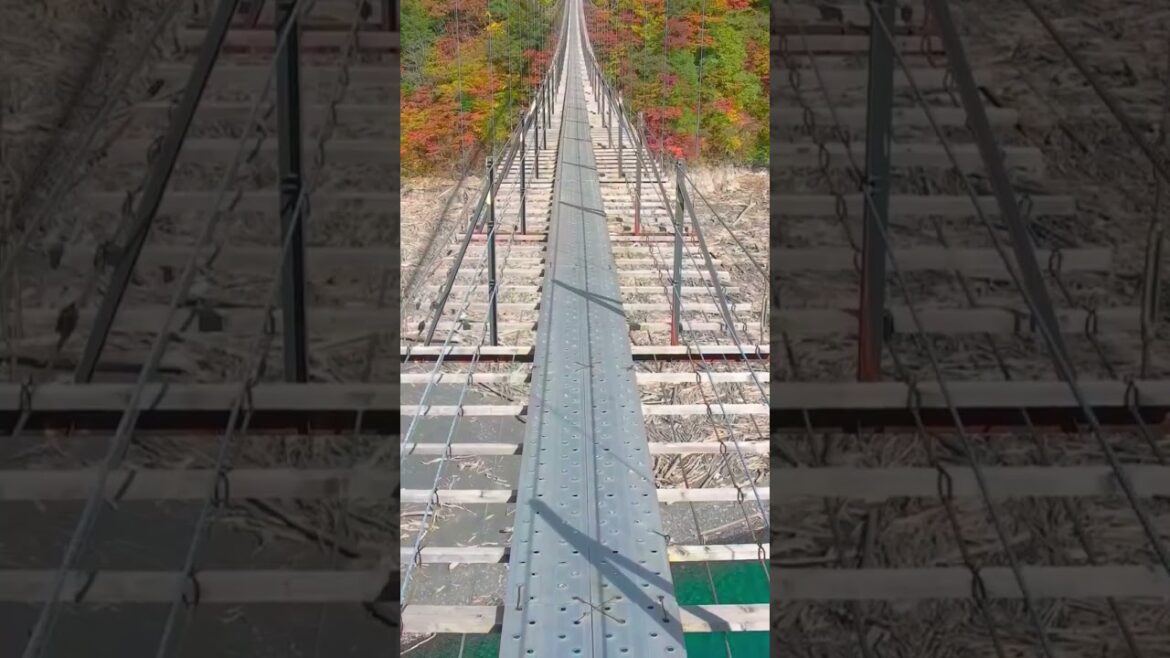 Puente colgante japonés en Shizuoka 🎌 Puente colgante japonés en Shizuoka 🎌