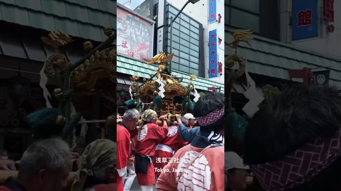 Rước kiệu tại lễ hội Asakusa Sanja Matsuri, Tokyo #asakusa #tokyo #nhatban #shorts Rước kiệu tại lễ hội Asakusa Sanja Matsuri, Tokyo #asakusa #tokyo #nhatban #shorts