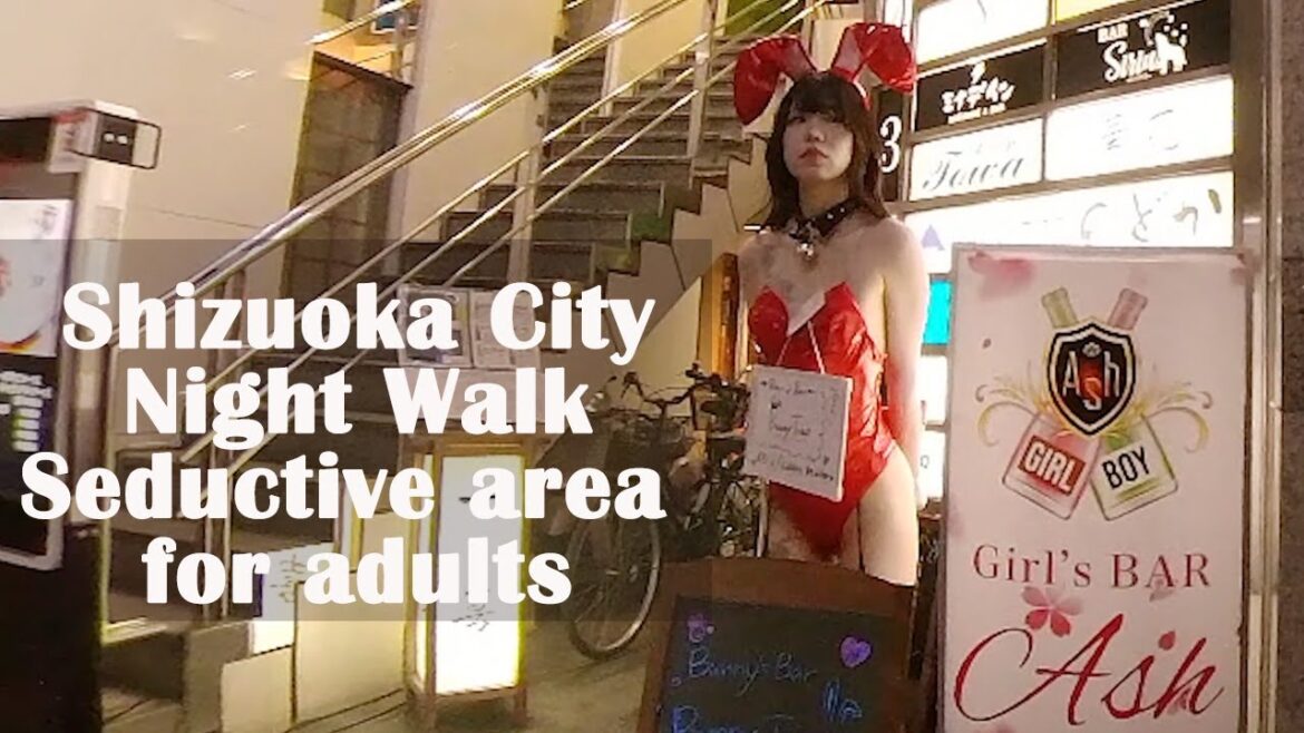 Shizuoka city night walk! Seductive area for adults Shizuoka city night walk! Seductive area for adults