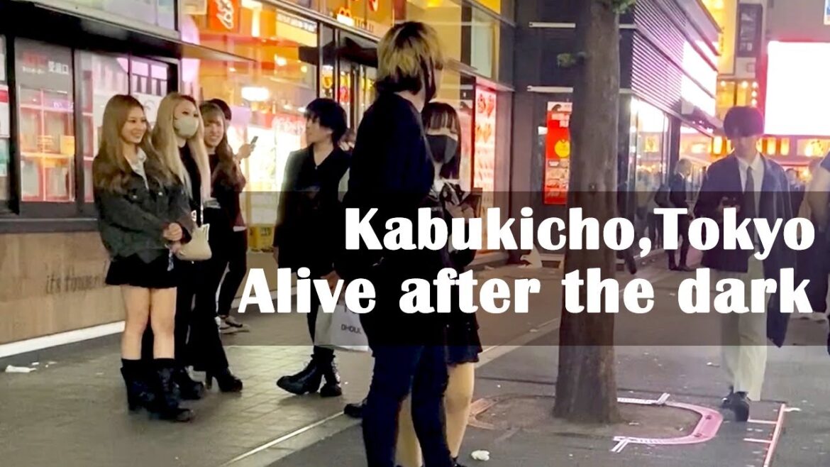 Tokyo's sleepless town! Adult liven up your night in Kabukicho! Red light district Japan
