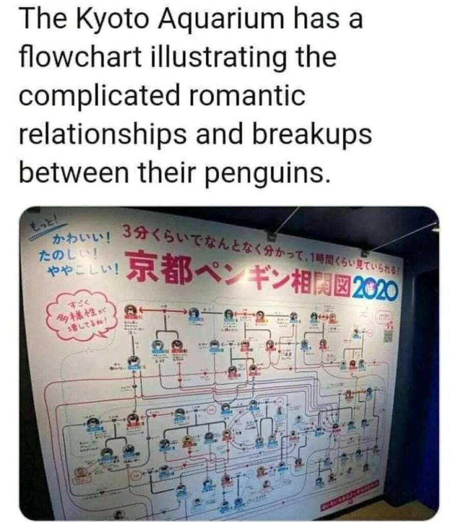 No respect for penguin privacy