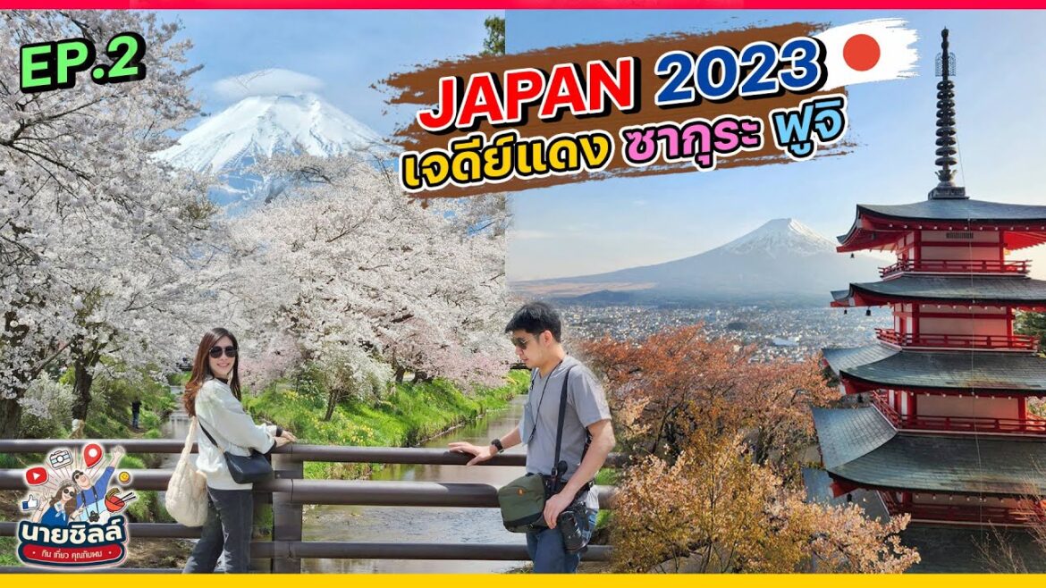 วางแผนเที่ยวญี่ปุ่น 2023 🇯🇵 | เจดีย์แดง ซากุระ และ ฟูจิ  | EP.2