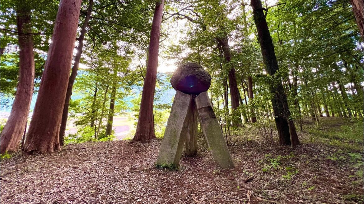 ※この映像を見かけたら今日必ず見ておいて下さい※今日からとてつもなく良い事が起こります。願いが叶う不思議な力のある伊和神社オンライン遠隔参拝