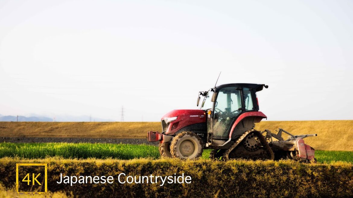 【4K Japan】Sunrise walk in Japanese Countryside with piano sound.Komatsu City, Ishikawa 【4K Japan】Sunrise walk in Japanese Countryside with piano sound.Komatsu City, Ishikawa