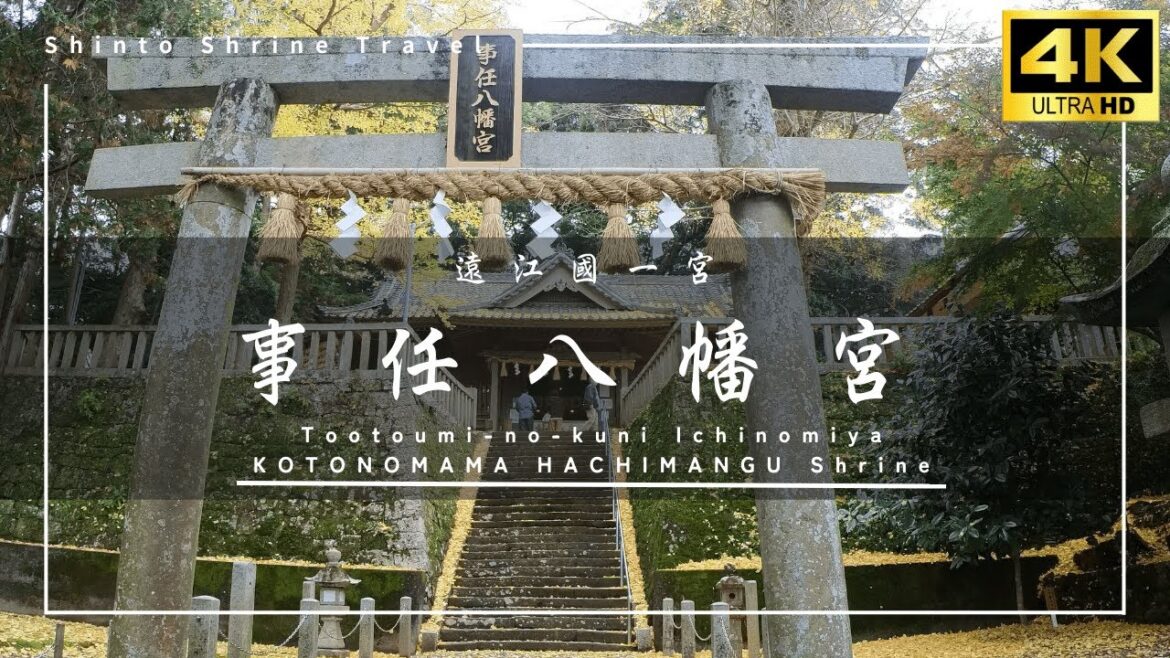 【事任八幡宮】＜静岡＞一の宮神社を巡る旅 / Trip to Kotonomama Hachimangu Shrine in Shizuoka
