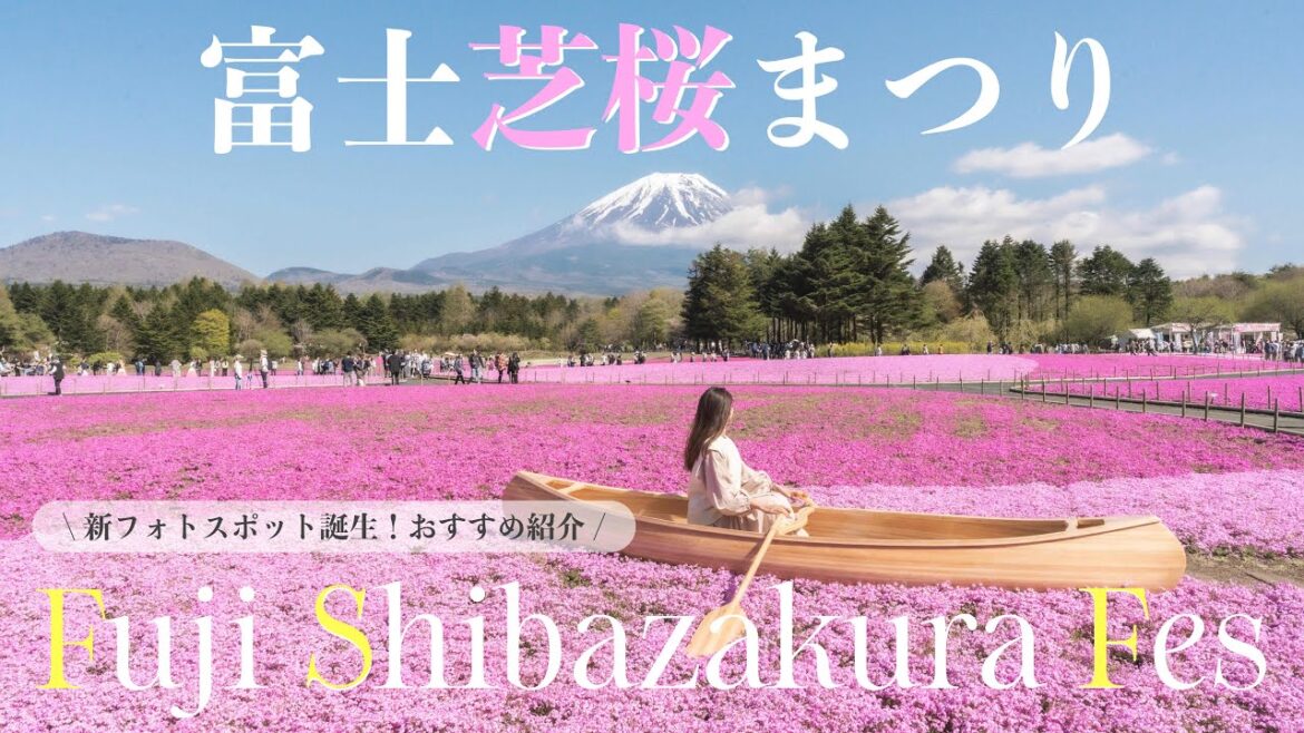 【山梨vlog】日帰り富士山！新写真スポット紹介📸東京から1時間半で楽しむ芝桜🌸