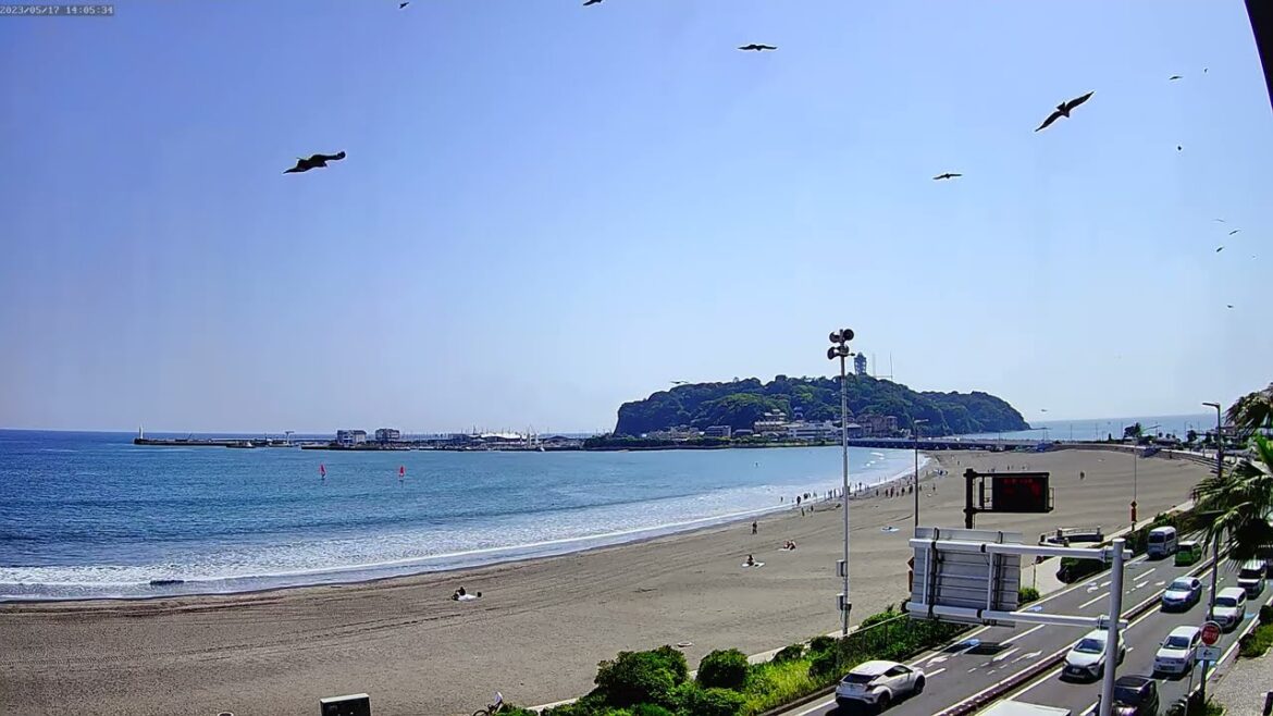 アーカイブ 2023/05/17 PM アーカイブ 2023/05/17 PM