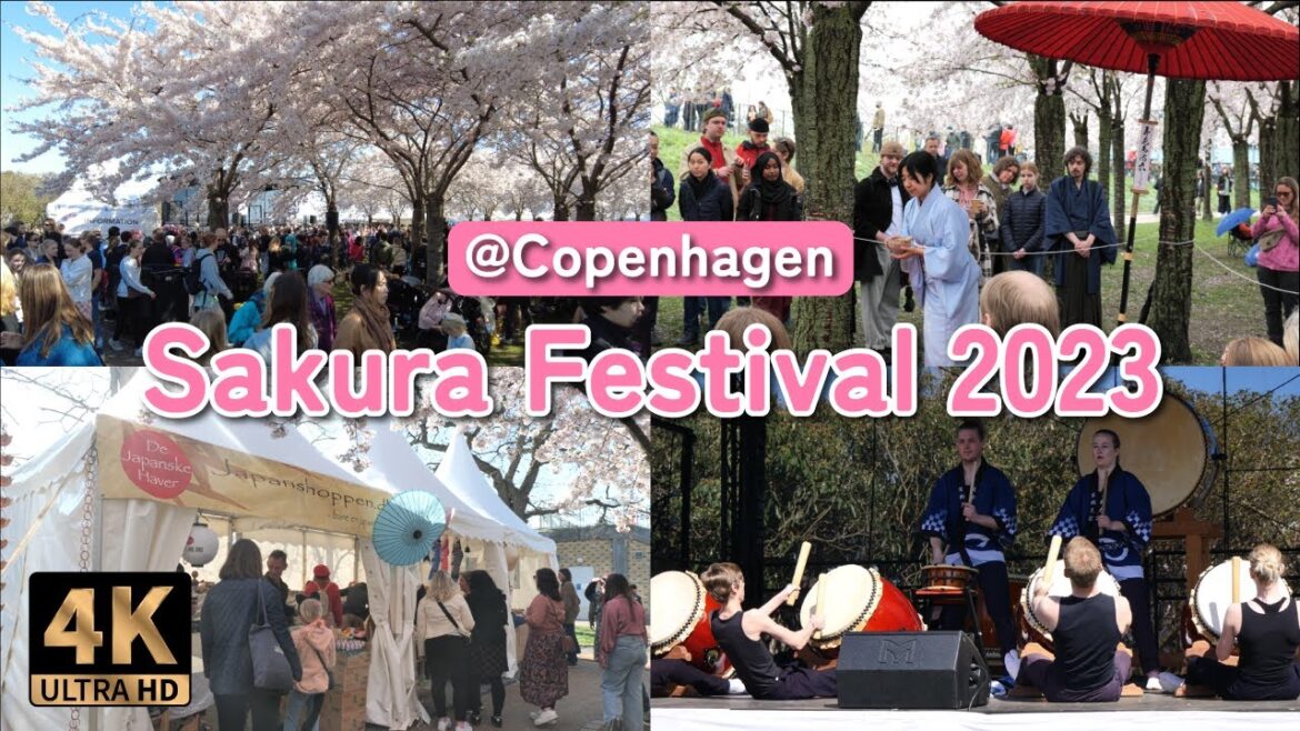 コペンハーゲン サクラフェスティバル 2023 ダイジェスト動画 [4K] デンマーク | 日本祭り | Sakura Festival