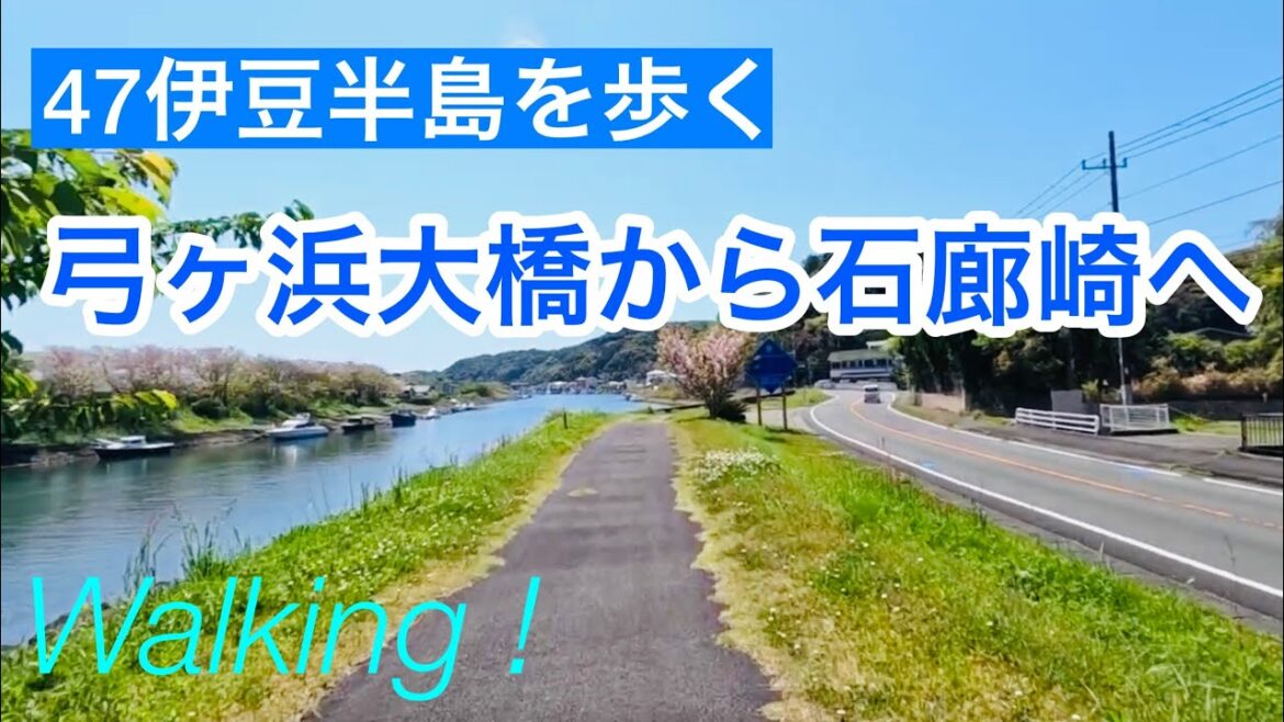 弓ヶ浜大橋から石廊崎へ/47伊豆半島を歩く/南伊豆町/Minamiizu town, Shizuoka, Japan 弓ヶ浜大橋から石廊崎へ/47伊豆半島を歩く/南伊豆町/Minamiizu town, Shizuoka, Japan