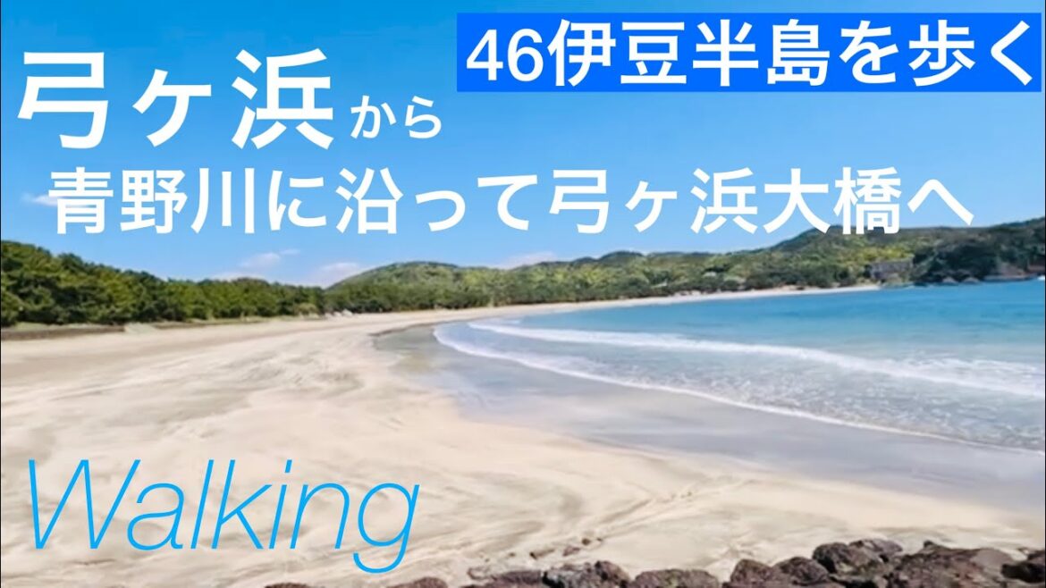 弓ヶ浜/青野川に沿って弓ヶ浜大橋へ/46伊豆半島を歩く/南伊豆町/Minamiizu town, Shizuoka, Japan