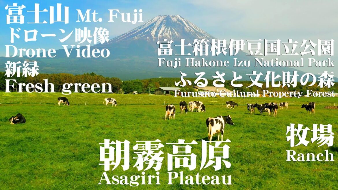 朝霧高原 4K ドローン映像 Asagiri Plateau Drone Video