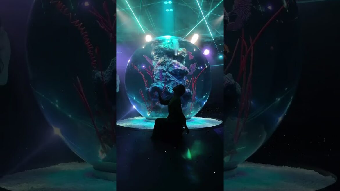 Welcome to Japan 🇯🇵📸 #japan #short #shorts #travel #vacation #explore #globetrotter #shortsfeed