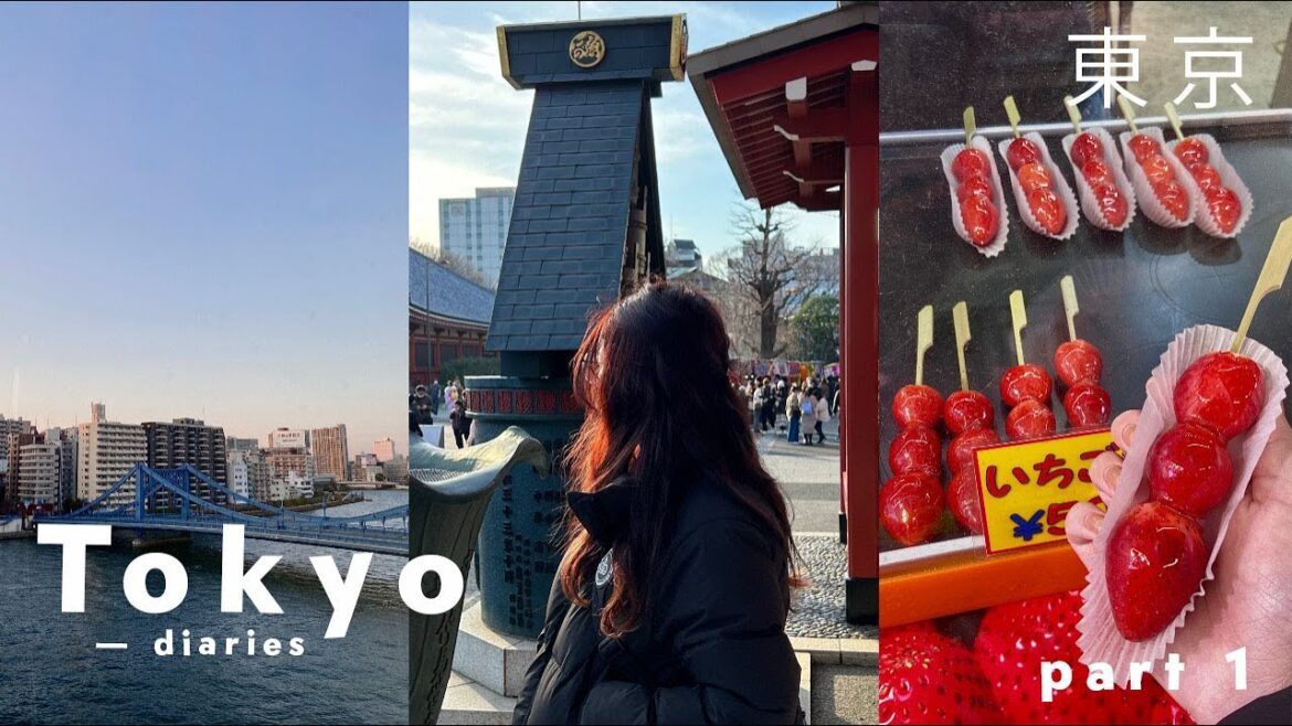 JAPAN TRAVEL DIARIES: TOKYO PART 1 🇯🇵✨