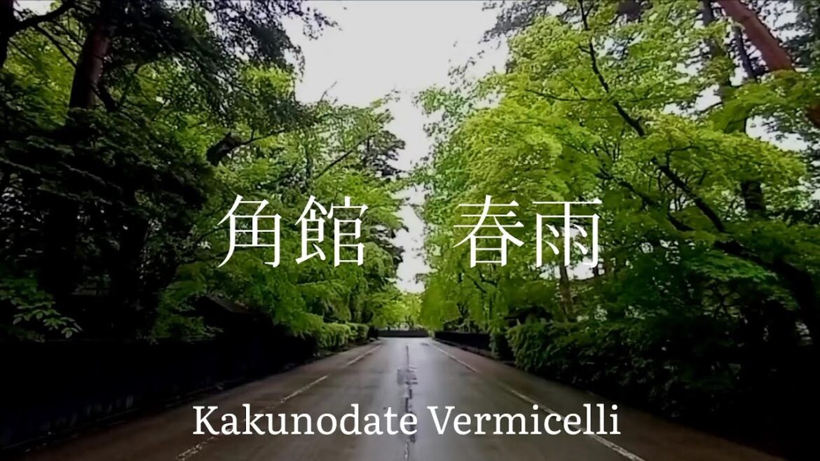 秋田県観光　武家屋敷街　角館　春雨　　Akita Prefecture Sightseeing Bukeyashiki District Kakunodate Harusame Japan