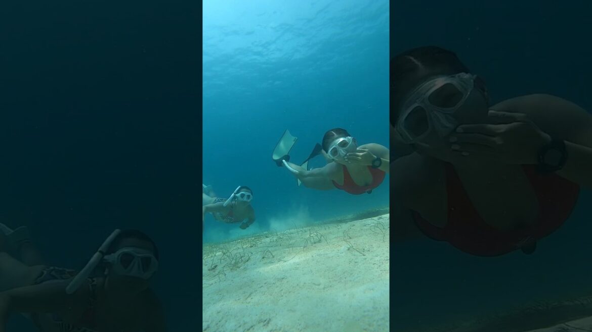 3 girls having fun swimming 😁. #shorts #travel #freediving