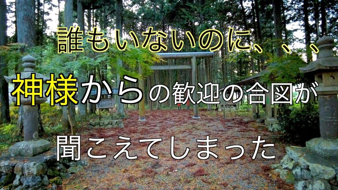 神様からの歓迎の声が聞こえた!!「全国パワースポットtravel」#4#初詣#遠隔参拝#パワースポット 神様からの歓迎の声が聞こえた!!「全国パワースポットtravel」#4#初詣#遠隔参拝#パワースポット