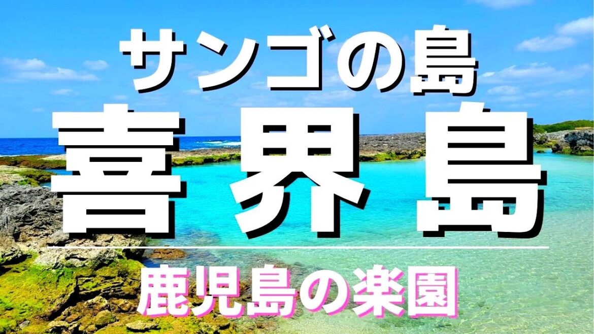 【鹿児島/喜界島】サンゴの島が超素敵すぎた‼️2泊3日夫婦旅