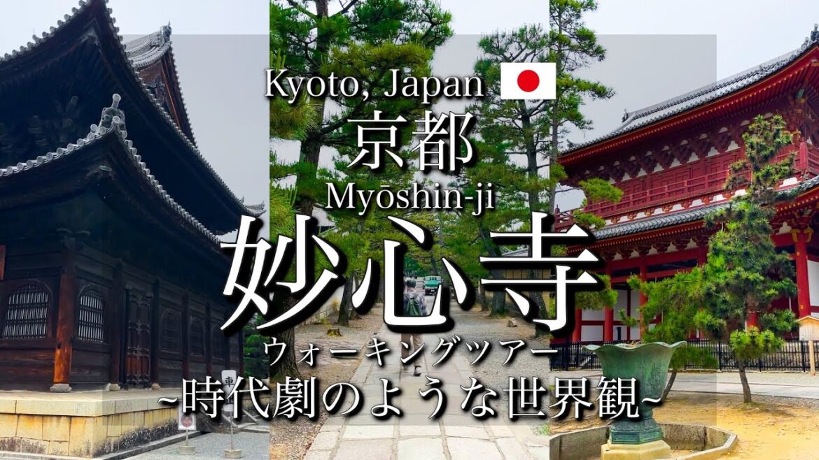 [京都|Kyoto]"妙心寺"を観光｜時代劇のような境内を歩く｜"Myōshin-ji Temple" Walking Tour(Vlog)