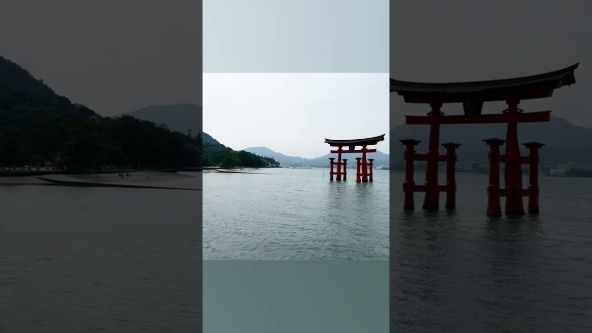 Exploring Hiroshima and Miyajima Island