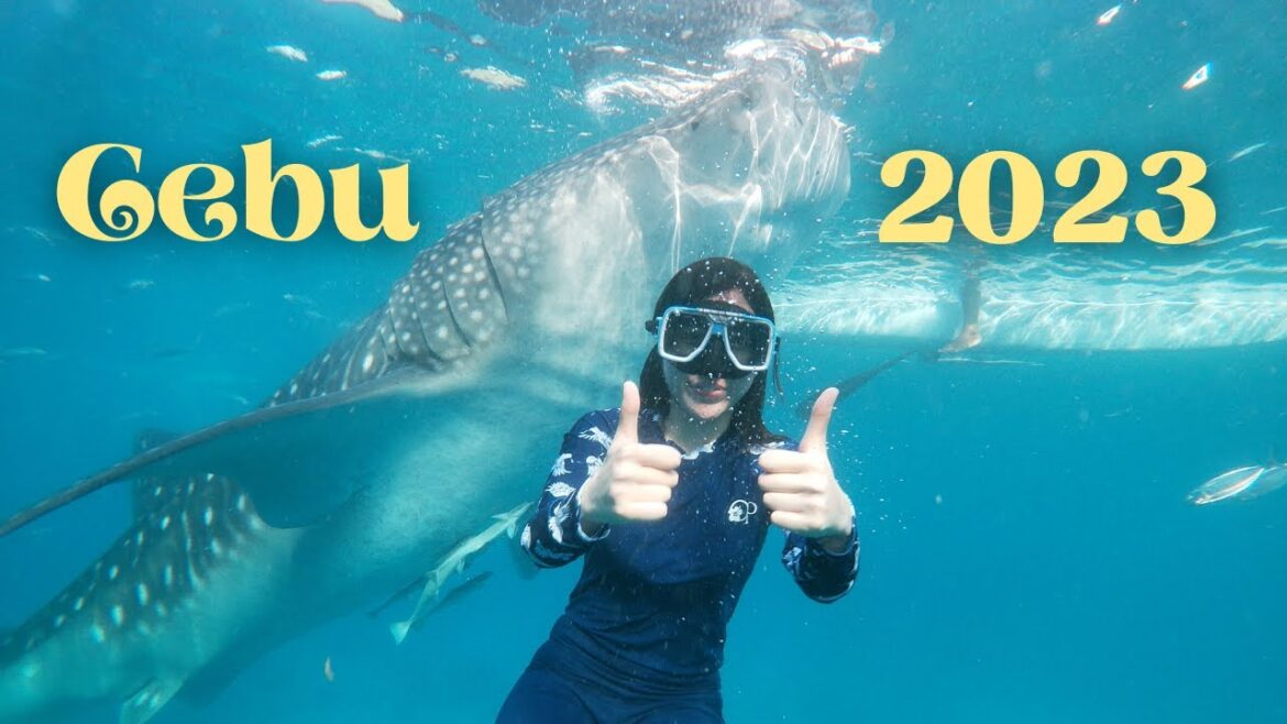 WHAT TO EXPECT ON YOUR CEBU TRIP 2023 [detailed] | Trisha Yu