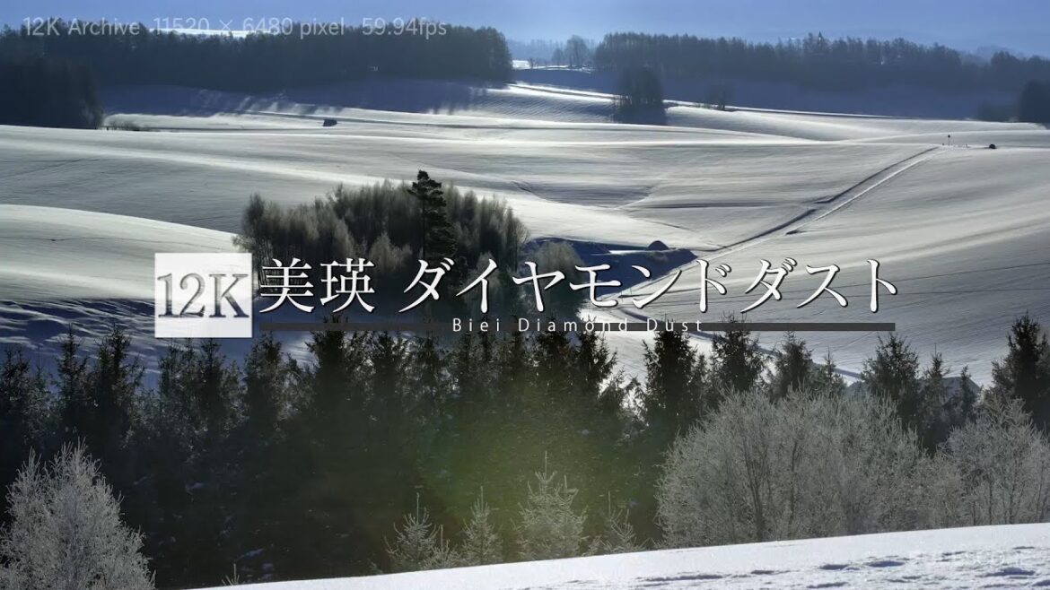 [12K footage] Biei Diamond dust【美瑛 ダイヤモンドダスト_12K】